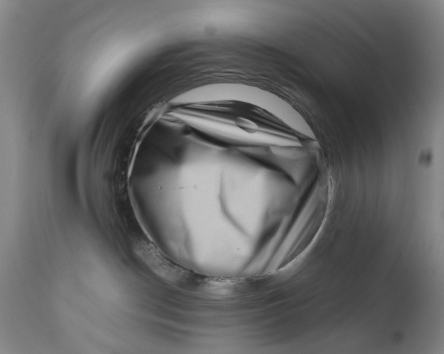 X0000111120190200907211059