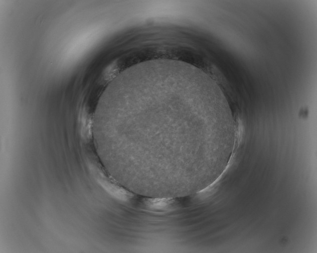 X0000111120191200907211059