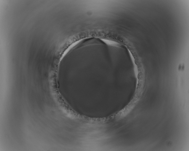 X0000111120192200907211059
