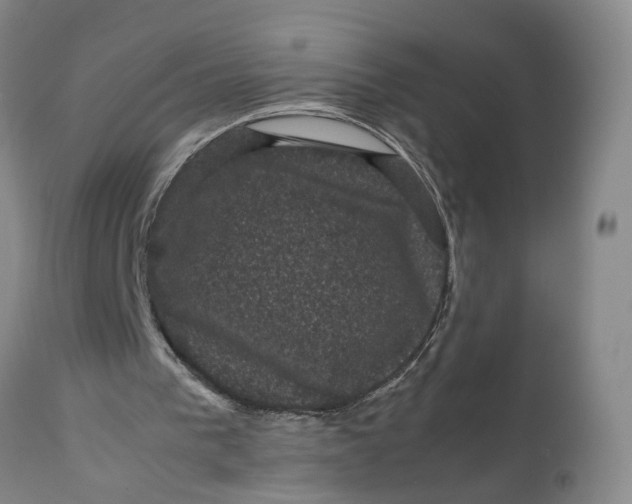 X0000111120193200907211058