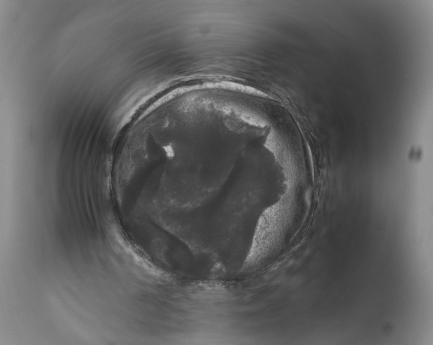 X0000111120194200907211058