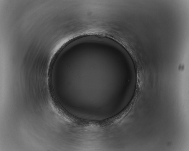 X0000111120196200907211058