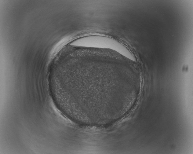 X0000111120197200907211058