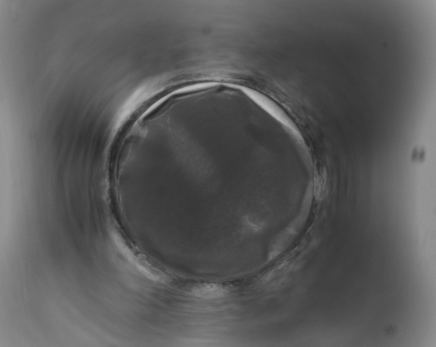 X0000111120198200907211058