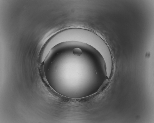 X0000111120199200907211058