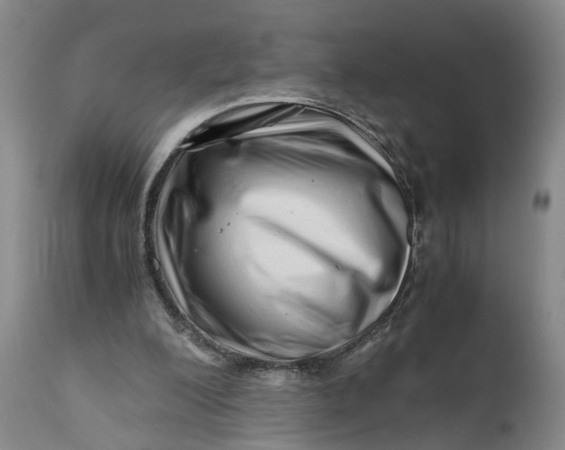 X0000111120200200907211058