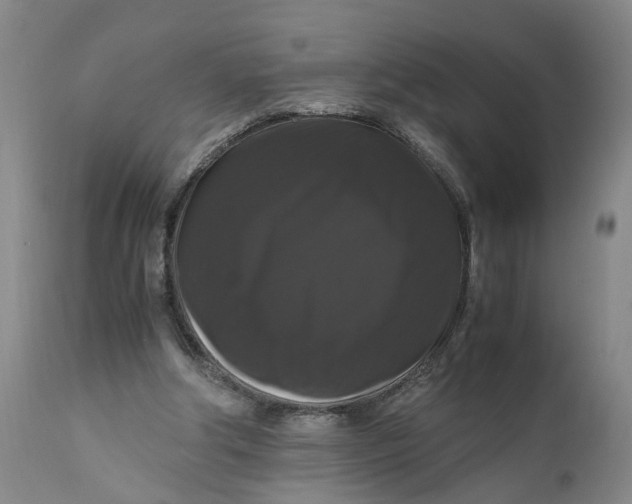 X0000111120202200907211058