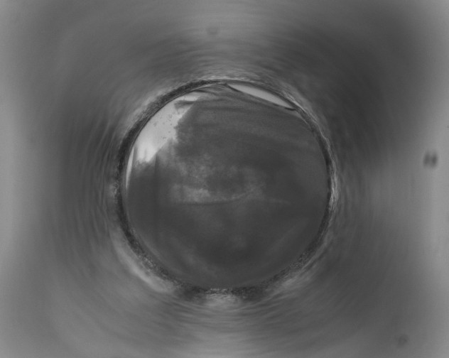 X0000111120203200907211058