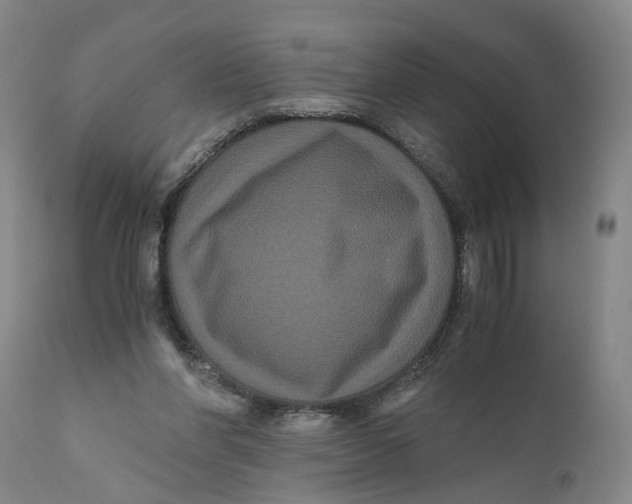 X0000111120206200907211058