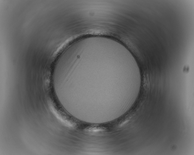 X0000111120208200907211058