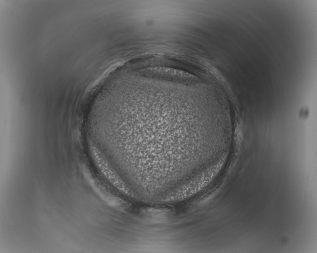 X0000111120209200907211058