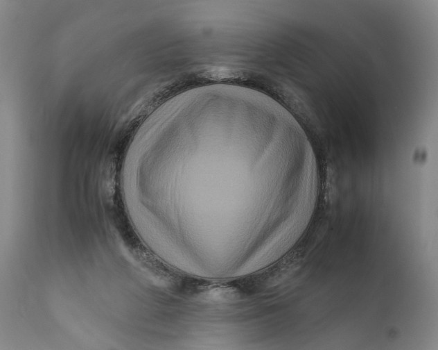 X0000111120210200907211058