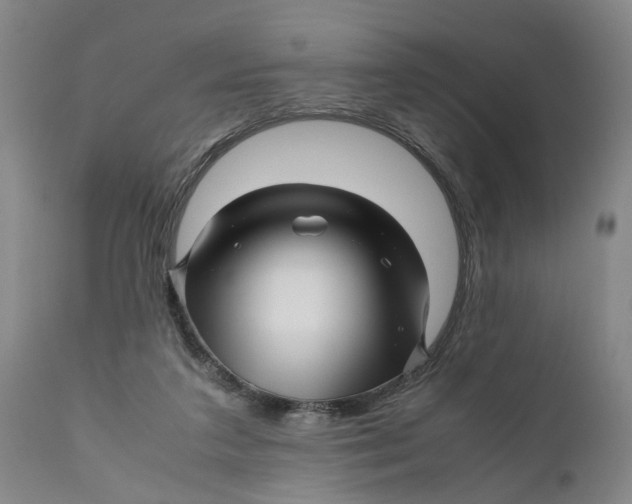 X0000111120211200907211058
