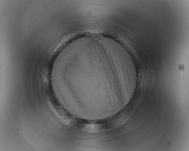 X0000111120212200907211058