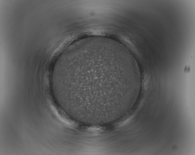 X0000111120213200907211058