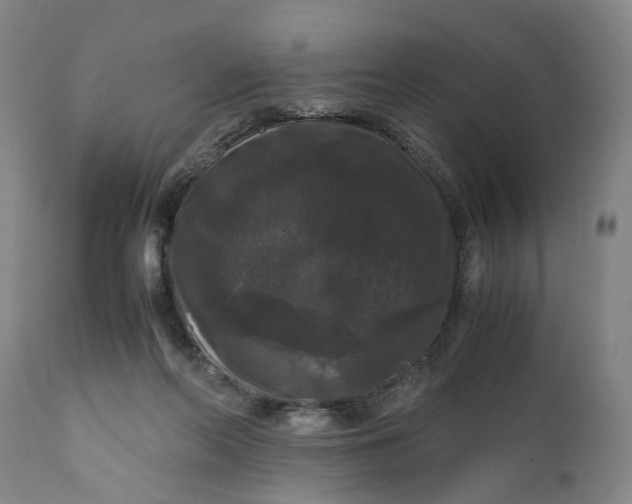 X0000111120214200907211058