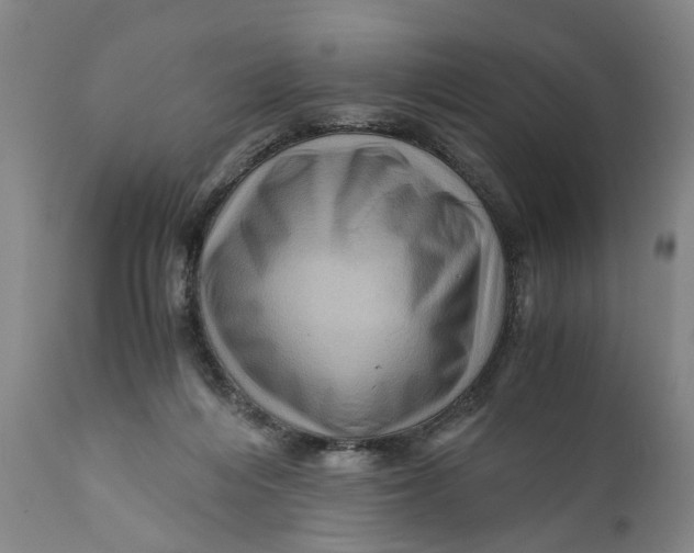 X0000111120216200907211058
