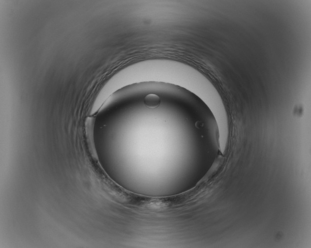 X0000111120217200907211058