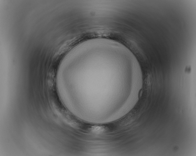 X0000111120218200907211057