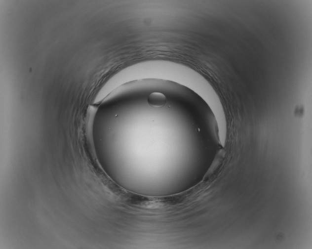 X0000111120219200907211057
