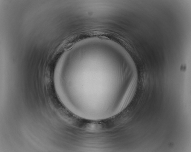 X0000111120220200907211057