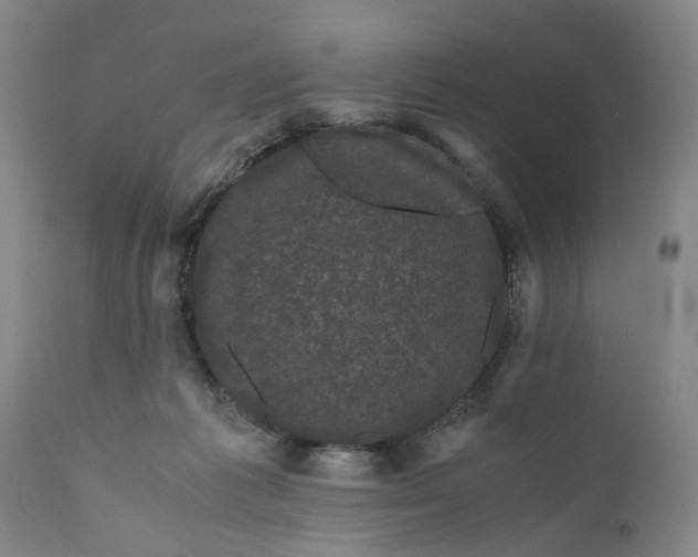 X0000111120221200907211057