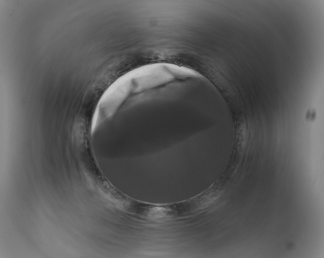 X0000111120222200907211057