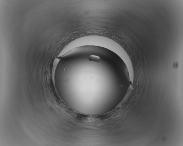 X0000111120223200907211057