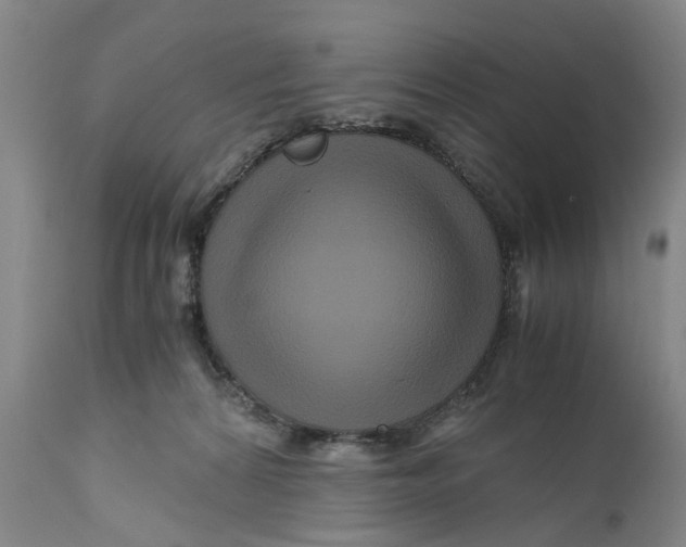 X0000111120224200907211057
