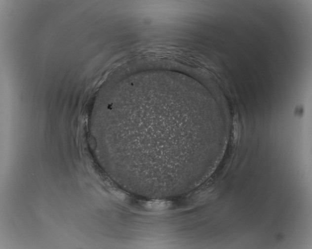 X0000111120225200907211057