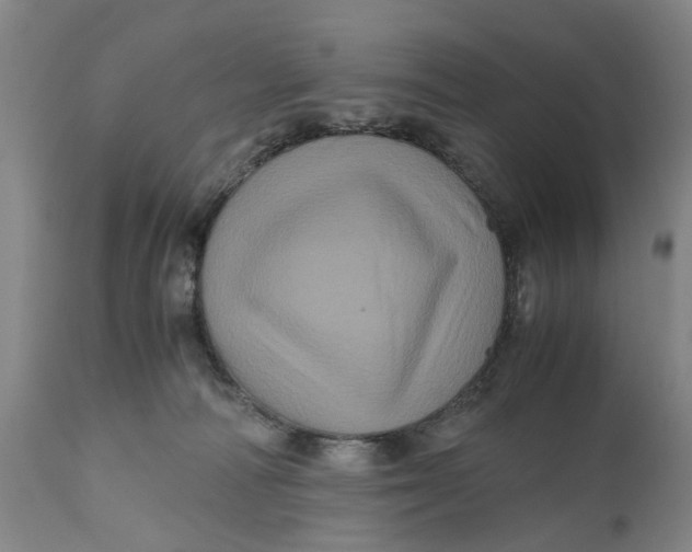 X0000111120226200907211057