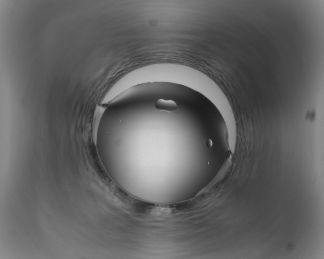 X0000111120227200907211057