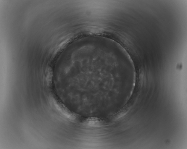 X0000111120228200907211057