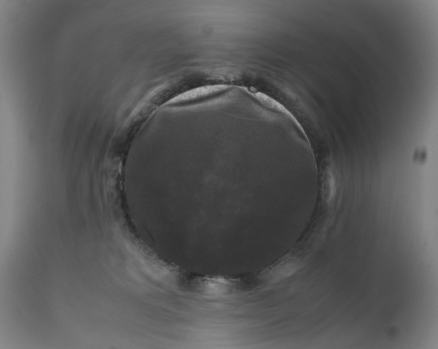 X0000111120229200907211057
