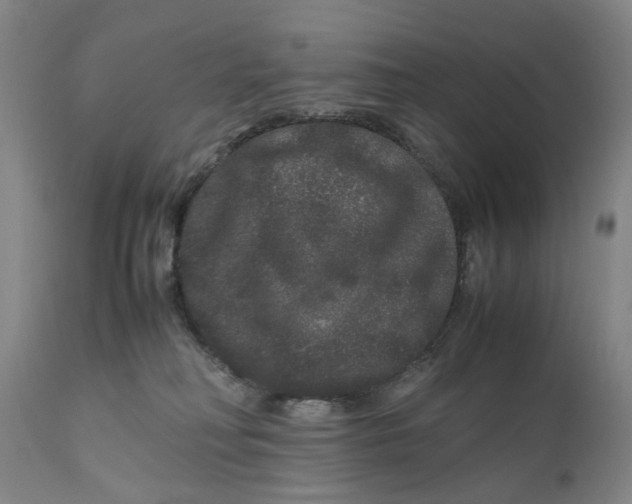 X0000111120230200907211057