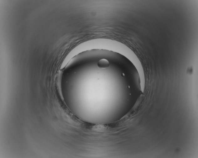X0000111120231200907211057