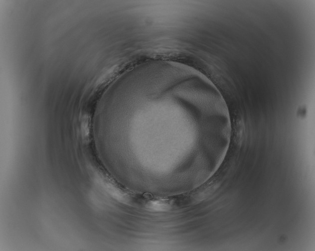 X0000111120232200907211057