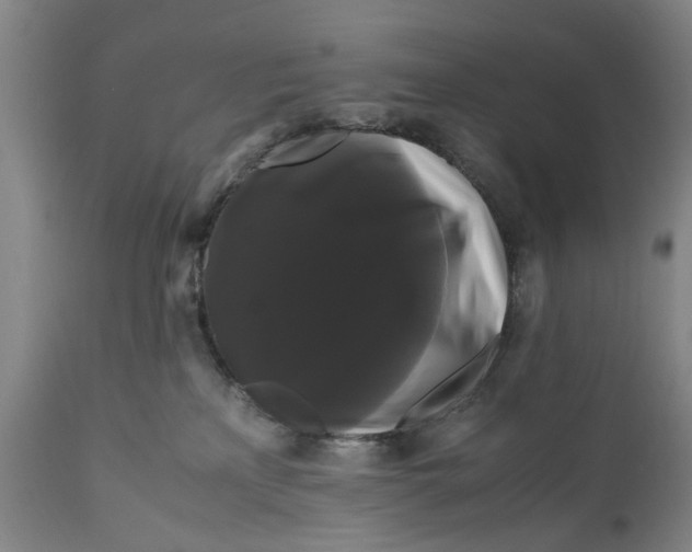 X0000111120233200907211057