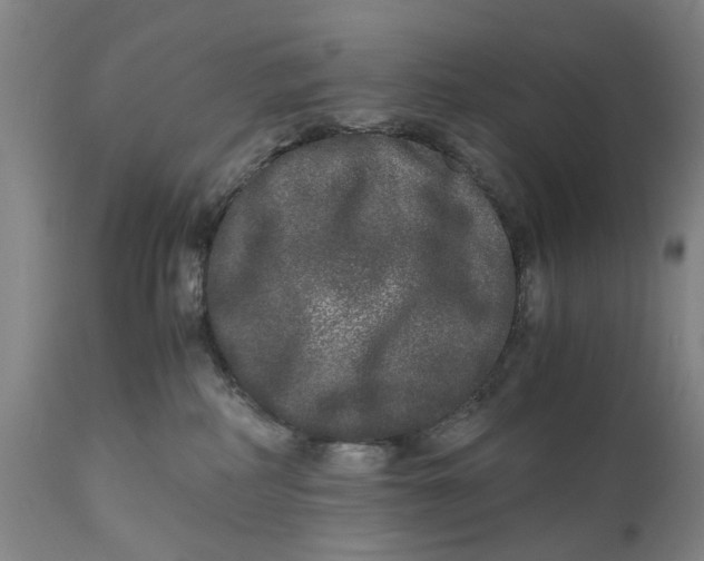 X0000111120234200907211057