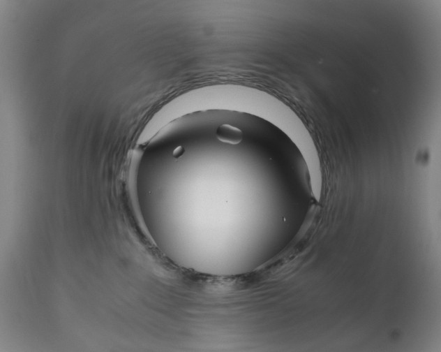 X0000111120235200907211057