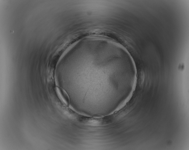 X0000111120236200907211057