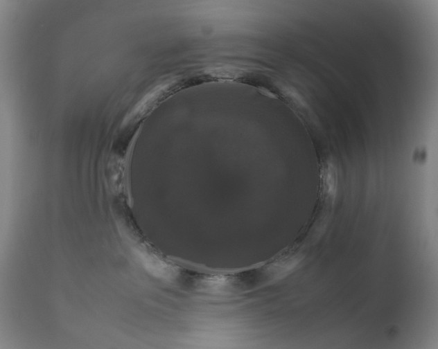 X0000111120237200907211057