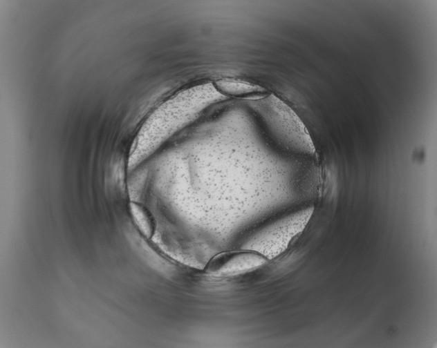X0000111120238200907211057