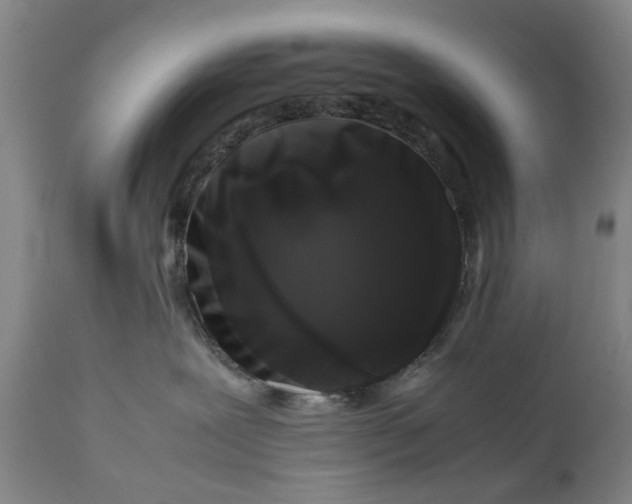 X0000111120239200907211057