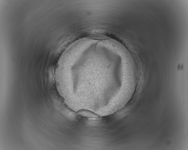 X0000111120240200907211057