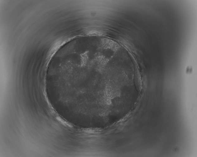 X0000111120241200907211056