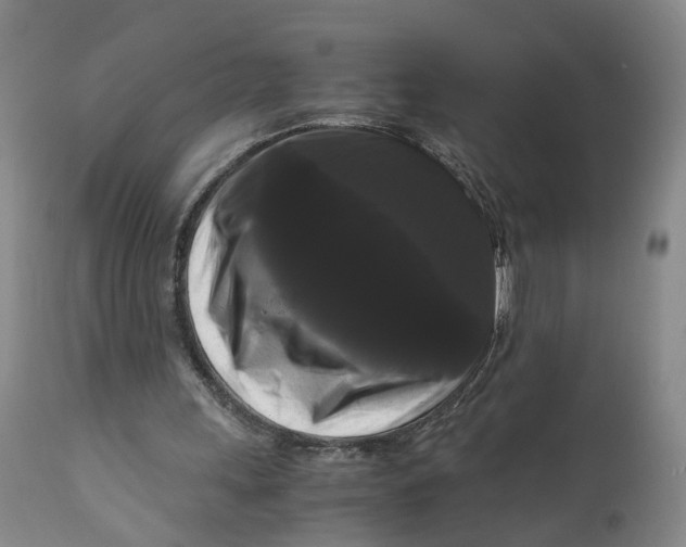 X0000111120243200907211056