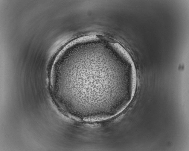 X0000111120245200907211056