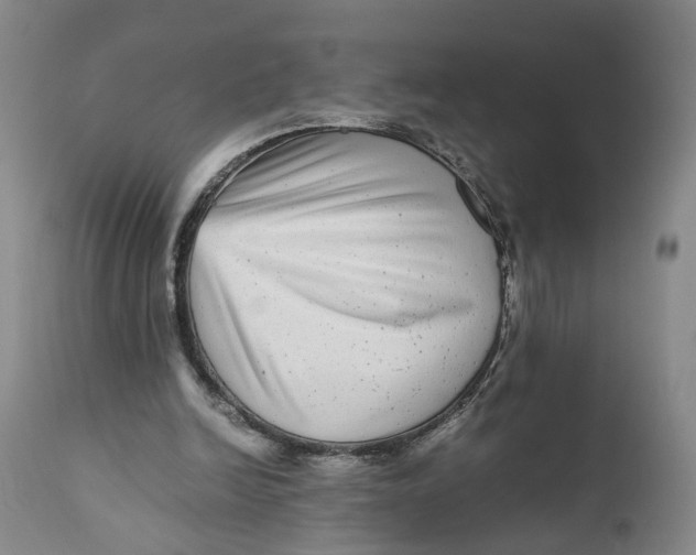 X0000111120246200907211056