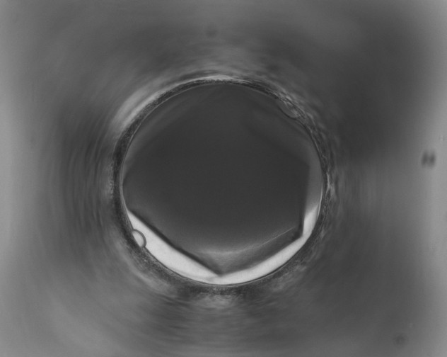 X0000111120247200907211056